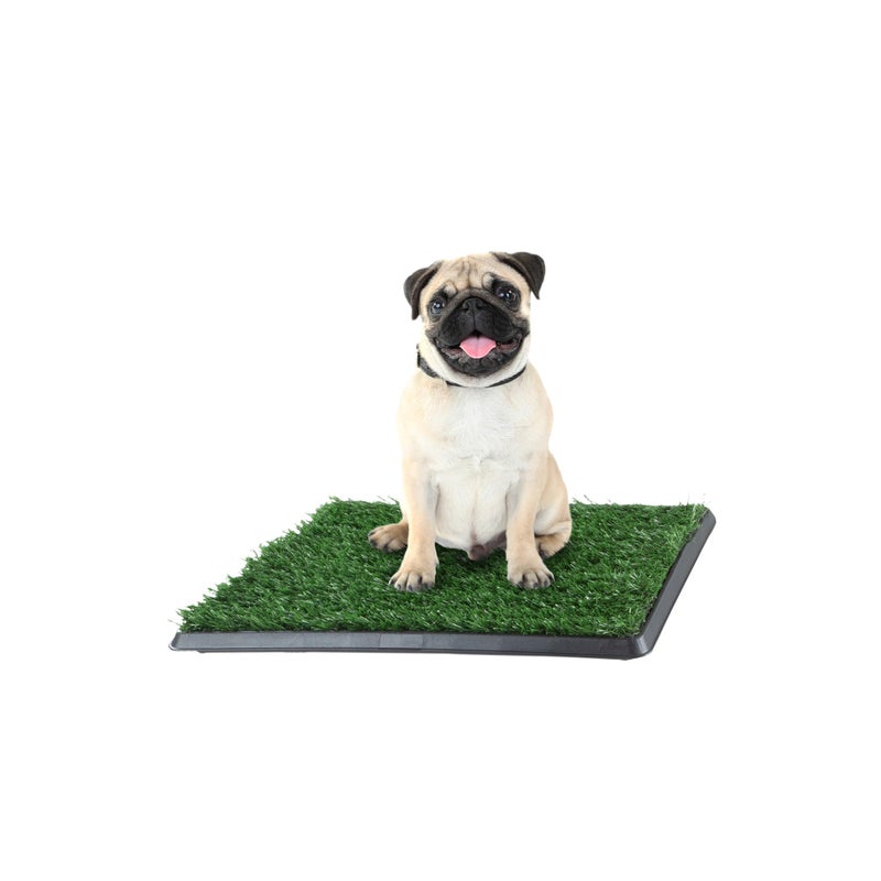 Artificial Grass Puppy Pee Pad for Dogs and Small Pets - 16x20 Inch, Reusable 3-Layer Potty Training Pad with Tray - Dog House and Pet Supplies by PETMAKER